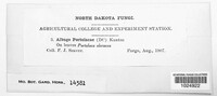 Image Associated With the Occurence